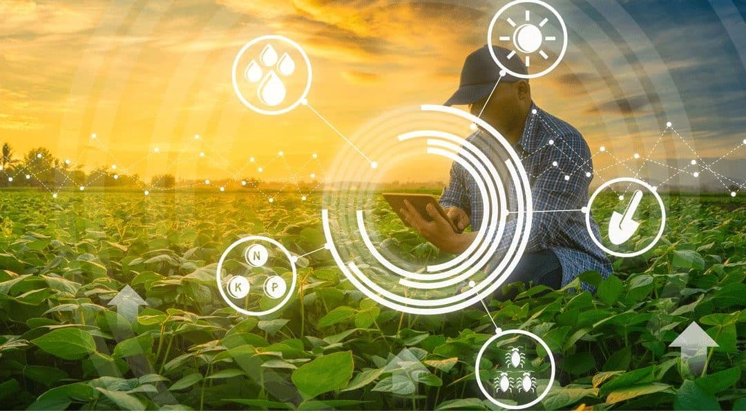 الزراعة الذكية وحلول إنترنت الأشياء