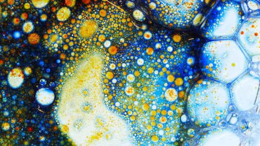 أهم 7 اكتشافات علمية حديثة (2-1)