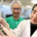 فريق بحثي من كاوست يحقق رقمًا قياسيًا عالميًا في رفع كفاءة الخلايا الشمسية الترادفية