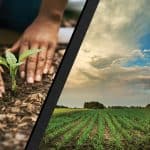 حماية الأرض بالزراعة والتكنولوجية الذكية