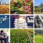 كيف يمكن للعلم والابتكار تعزيز أنظمة الغذاء العالمية؟ (2-1)