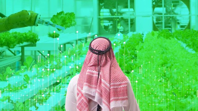 تكنولوجيا الزراعة السعودية.. ابتكارات تبني المستقبل