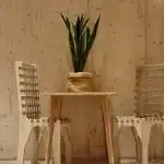 ابتكار جدران خشبية متحركة جديدة هي مستقبل البناء المستدام