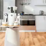 تطوير روبوت جديد للقيام بجميع الأعمال المنزلية