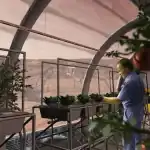 3 طرق يمكننا من خلالها زراعة الغذاء في مستعمرات الفضاء المستقبلية