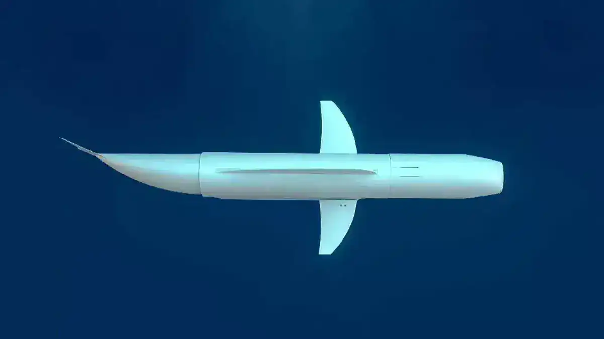 روبوت Belle.. سيحدث ثورة في اكتشاف الكائنات الحية تحت سطح البحر