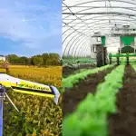 9 روبوتات تغزو صناعة الزراعة (2-1)