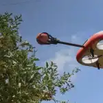 تطوير روبوت يستخدم الذكاء الاصطناعي لتحديد الفاكهة الناضجة واختيارها