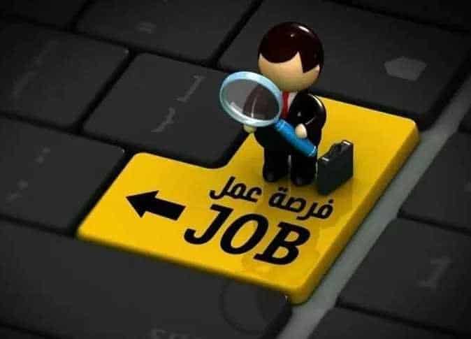 وظائف وزارة الطاقة