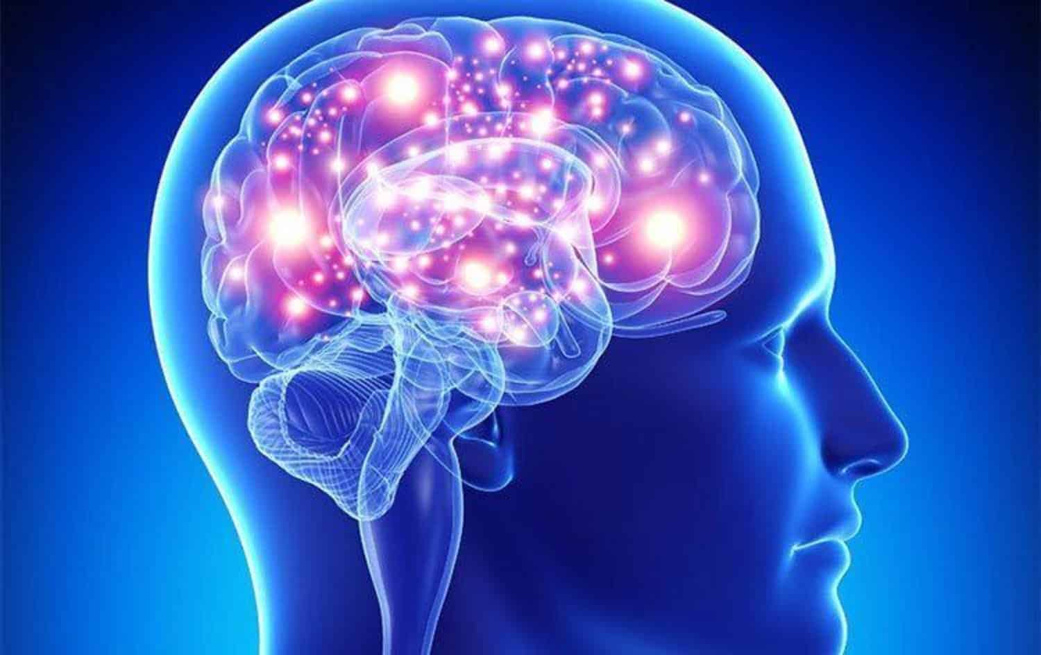 مليار بت في الثانية.. دراسة تكشف سرعة تفكير البشر