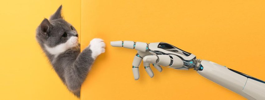 كيف يمكن الاستفادة من الذكاء الاصطناعي في الطب البيطري؟