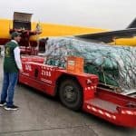 الطائرة الإغاثية السعودية تغادر لإغاثة الشعب الفلسطيني