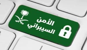 الأمن السيبراني 