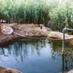 دراسة تؤكد..المياه الجوفية أهم مصادر المياه العذبة وتعرضها للاستنزاف يشكل مخاطر اقتصادية وبيئية
