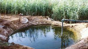 دراسة تؤكد..المياه الجوفية أهم مصادر المياه العذبة وتعرضها للاستنزاف يشكل مخاطر اقتصادية وبيئية