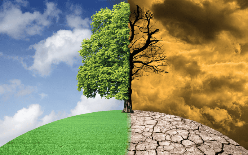 في يوم الأرض.. كيف تؤثر التكنولوجيا على البيئة؟