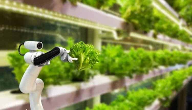 الزراعة الذكية بين الماضي والمستقبل