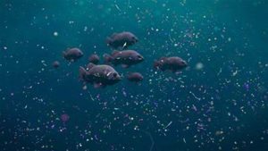 روبوتات لتنظيف المجاري لمائية من البلاستك