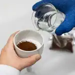 الخلايا النباتية تصنع قهوة صديقة للبيئة..كيف ذلك؟