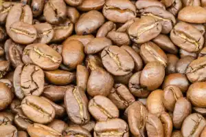 قهوة مصنوعة من الخلايا النباتية