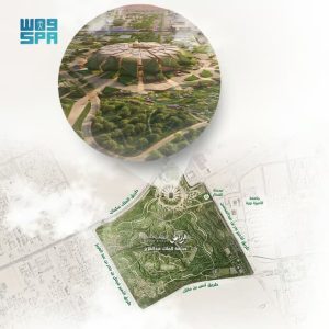 استاد الملك سلمان