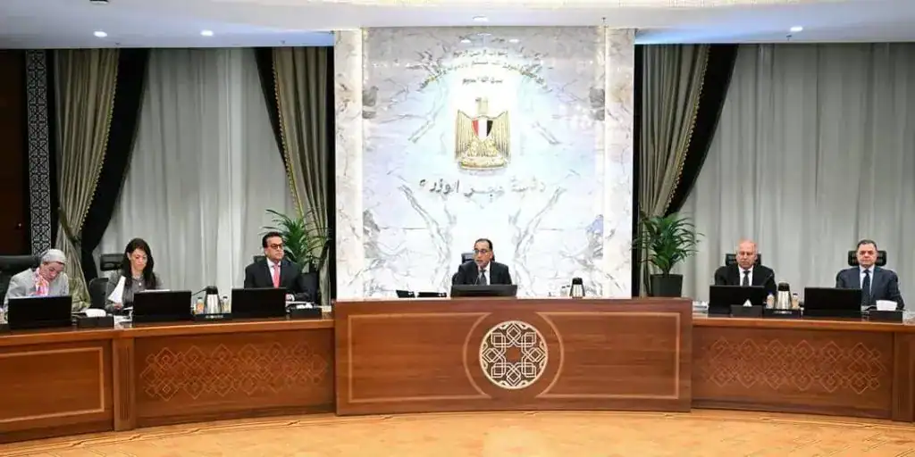 مصر تخطط لإطلاق منصتها الصناعية الرقمية..مميزات وفوائد