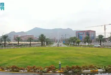 جامعة طيبة