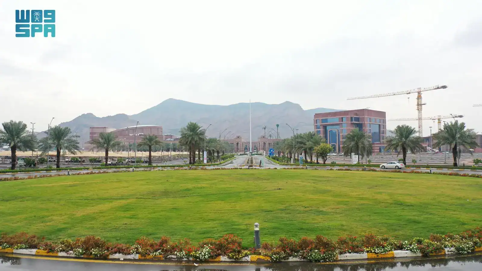 جامعة طيبة