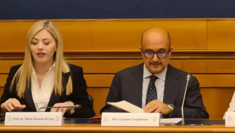 وزير الثقافة الإيطالي