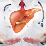 أنسجة الكبد