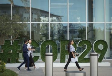 كوب 29