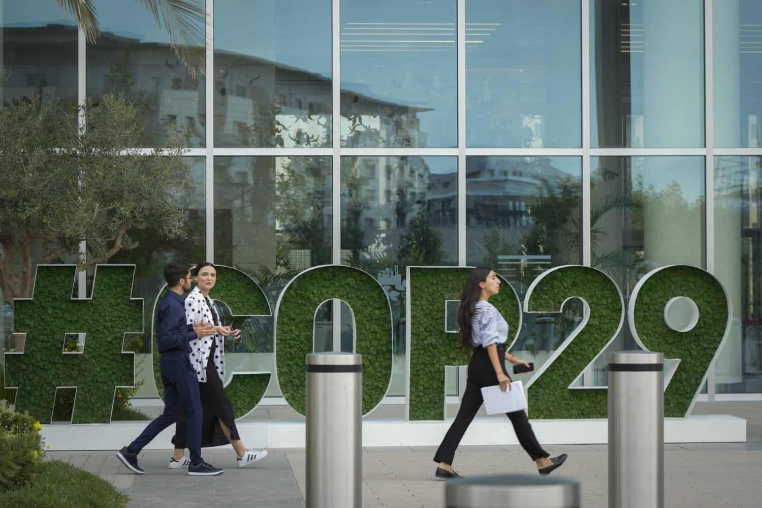 كوب 29