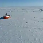 زراعة الأشجار