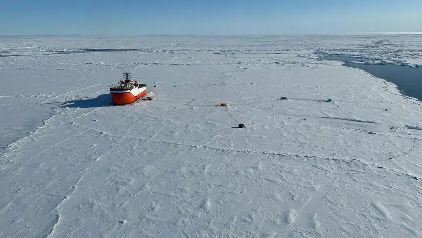 زراعة الأشجار