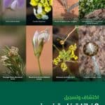 البناتات النادرة بالسعودية