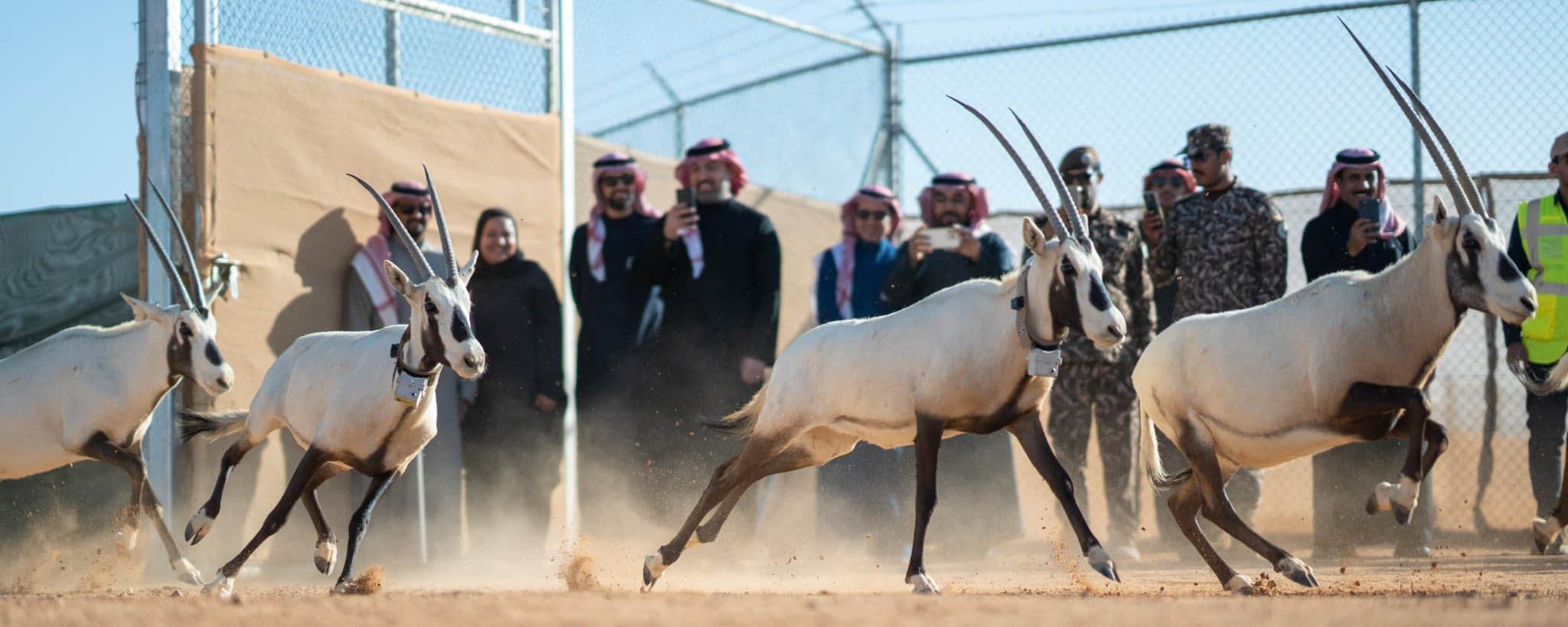 محمية الملك خالد الملكية