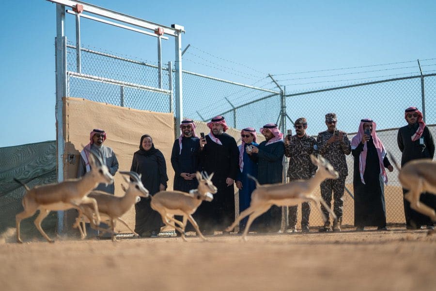 محمية الملك خالد الملكية