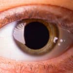 "بؤبؤ العين" يمنع تضارب المعلومات المخزنة في الدماغ