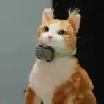 هاتف ذكي للحيوانات الأليفة