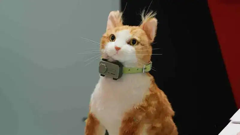 هاتف ذكي للحيوانات الأليفة