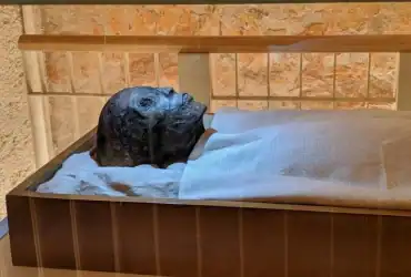 لعنة الفراعنة