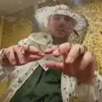 الدودة آكلة اللحوم