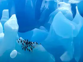 قارة أنتاركتيكا