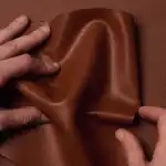 الجلد النباتي