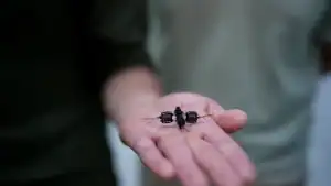 روبوت النحلة الطنانة