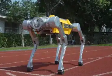 White Rhino dog