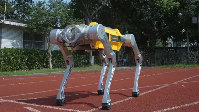 White Rhino dog