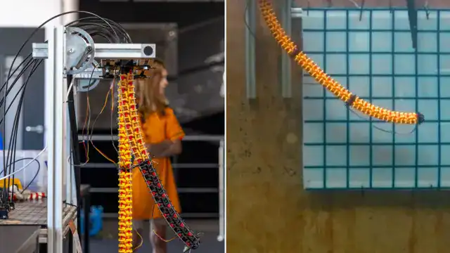 الروبوت الثعبان