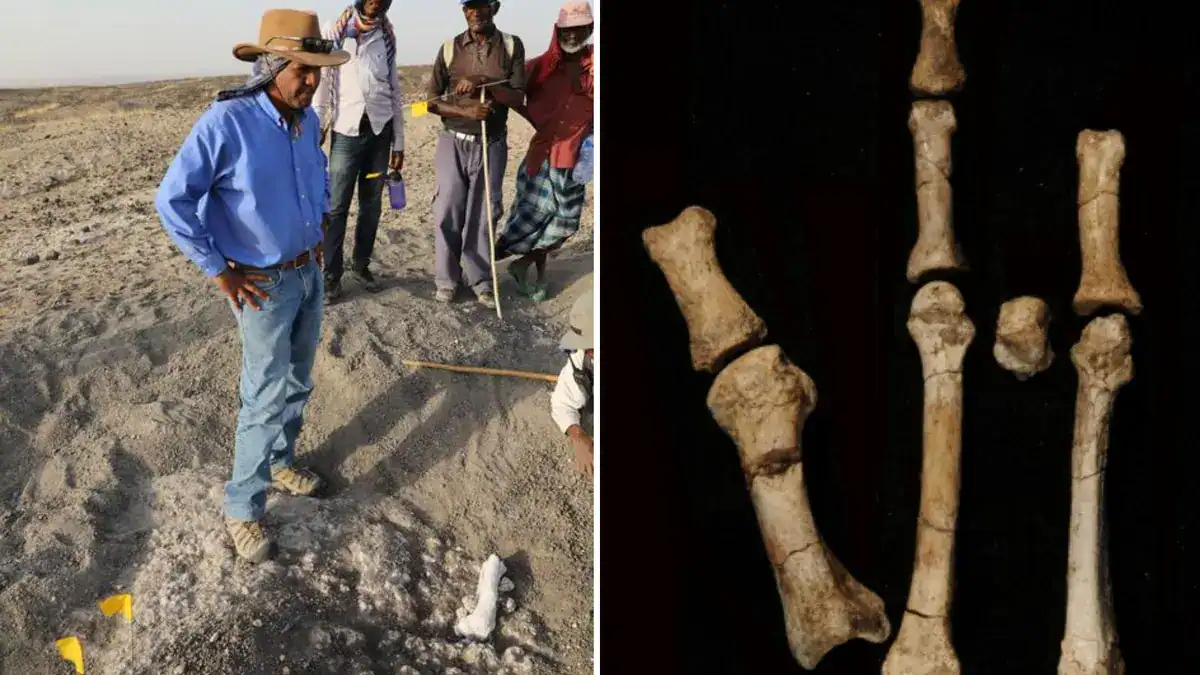 .اكتشاف نوعين من البشر كانا يتجولان على الأرض منذ 3.5 مليون سنة