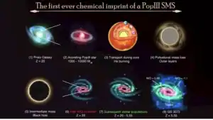 نجوم عملاقة